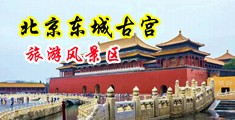 骚屄被大jb插中国北京-东城古宫旅游风景区